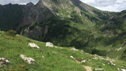 Weg vom Gemstel | © Kleinwalsertal Tourismus eGen 
