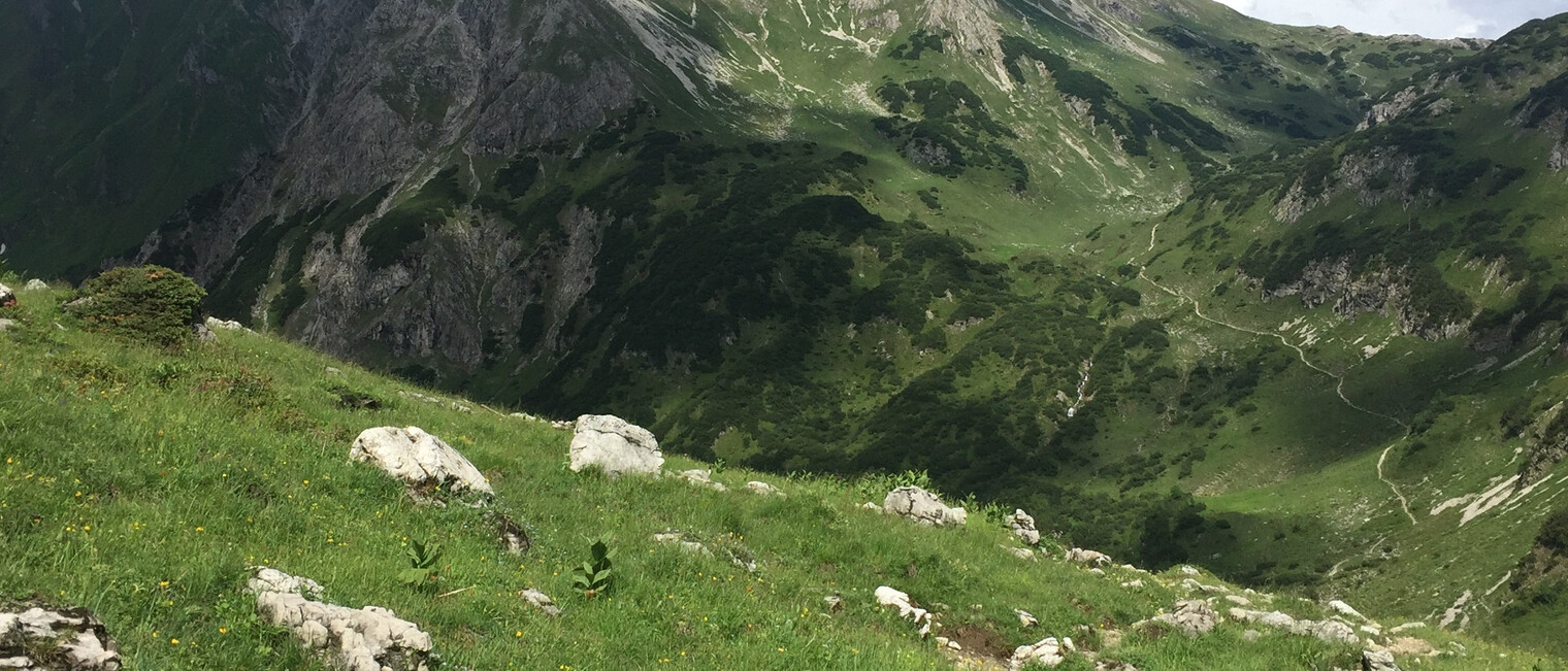 Weg vom Gemstel | © Kleinwalsertal Tourismus eGen 
