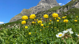 Widderstein | © Kleinwalsertal Tourismus eGen