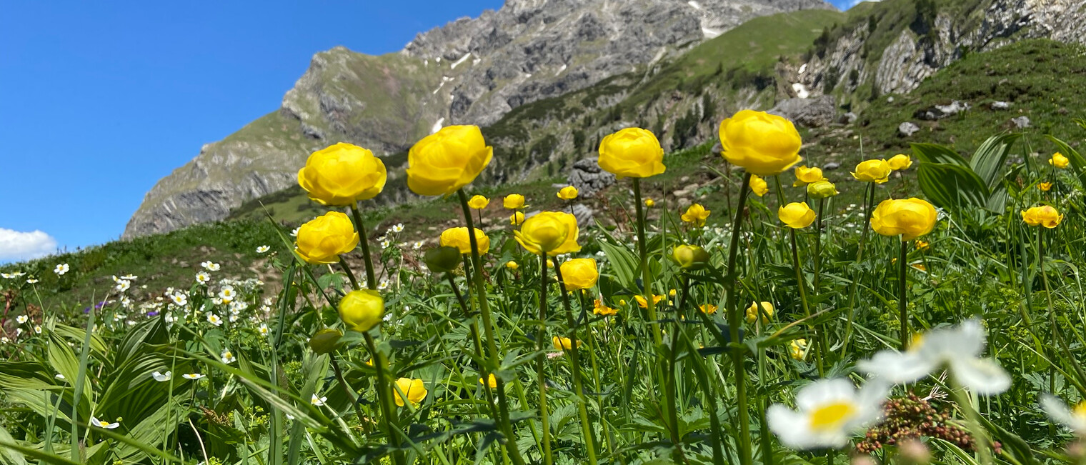 Widderstein | © Kleinwalsertal Tourismus eGen
