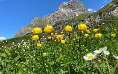 Widderstein | © Kleinwalsertal Tourismus eGen