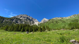 Widderstein | © Kleinwalsertal Tourismus eGen