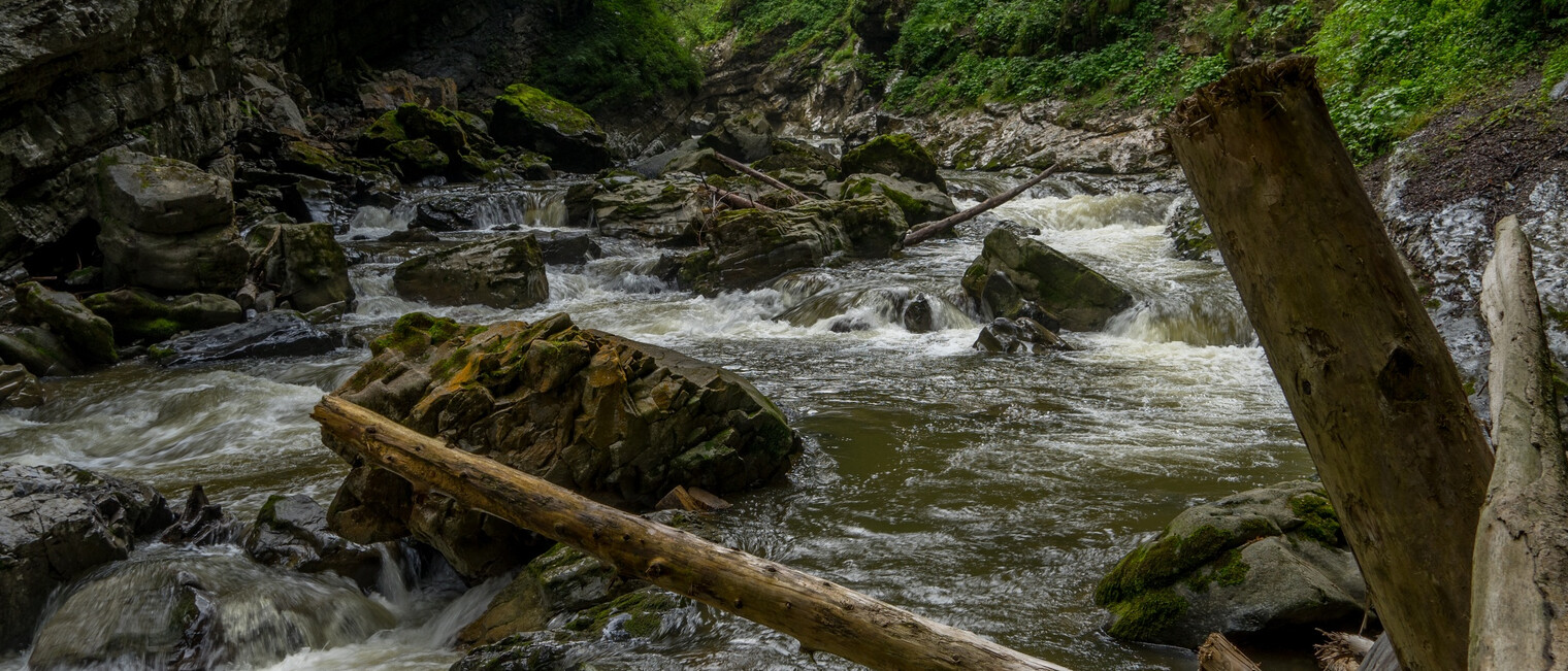 Breitachklamm | © Kleinwalsertal Tourismus eGen | @Fotograf: Steffen Berschin Breitachklamm | © Kleinwalsertal Tourismus eGen | @Fotograf: Steffen Berschin