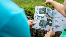 Forscherbuch Gemstel | © Kleinwalsertal Tourismus eGen | @Bastian Morell 