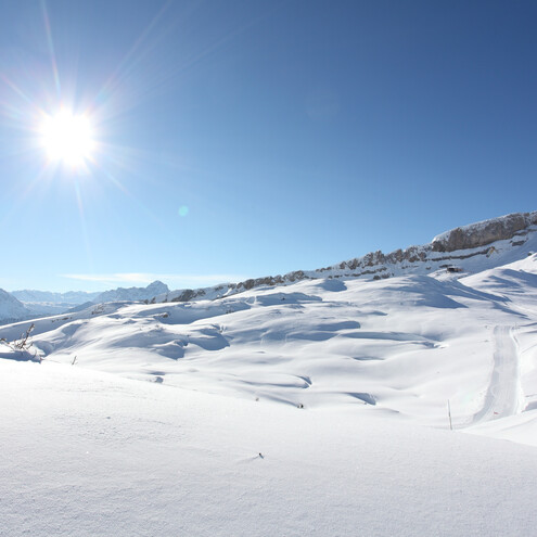 Gottesacker mit Panoramaweg und Skigebiet Ifen | © Kleinwalsertal Tourismus Gottesacker mit Panoramaweg und Skigebiet Ifen | © Kleinwalsertal Tourismus
