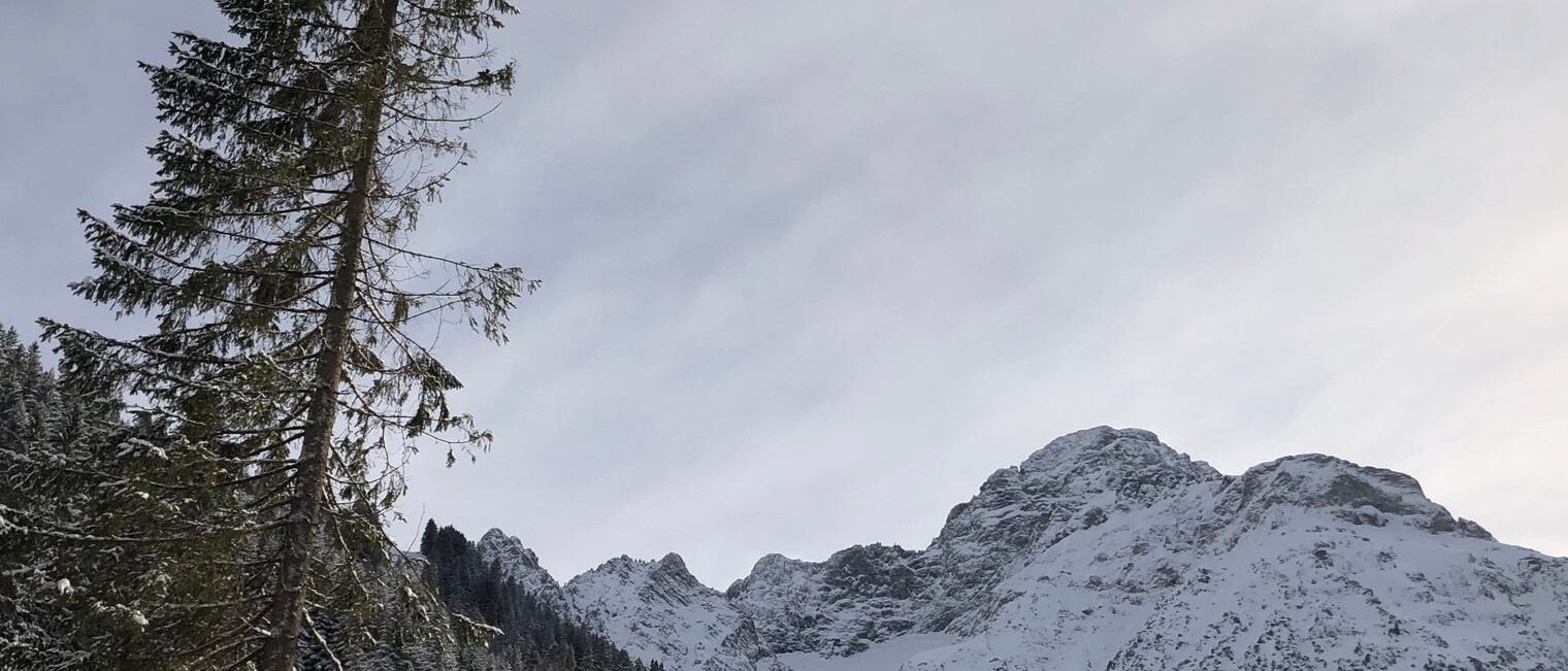 Winterwanderweg im Bärgunttal | © Kleinwalsertal Tourismus eGen