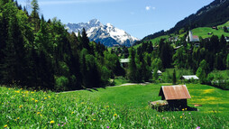 Zwerwald | © Kleinwalsertal Tourismus eGen