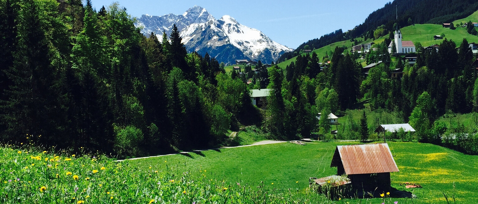 Zwerwald | © Kleinwalsertal Tourismus eGen