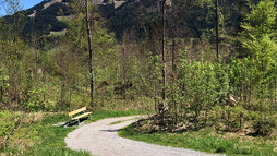 Wanderweg an der Breitach | © Kleinwalsertal Tourismus eGen