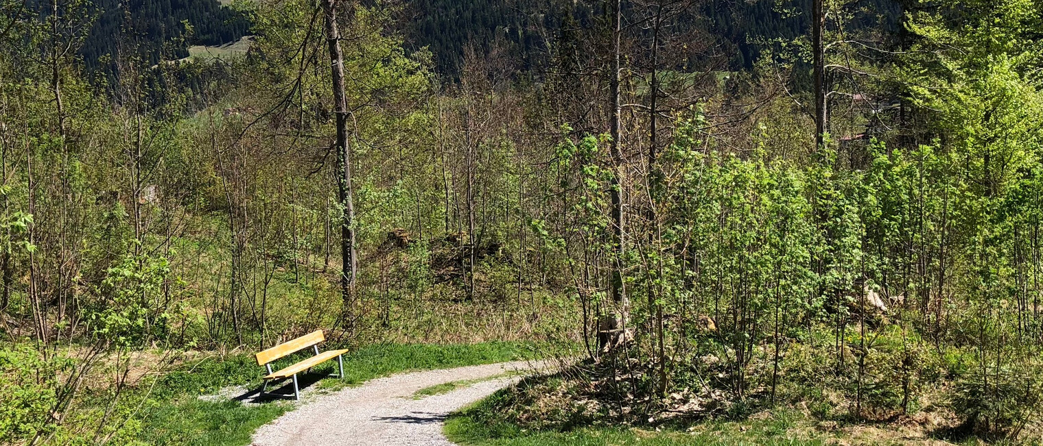 Wanderweg an der Breitach | © Kleinwalsertal Tourismus eGen