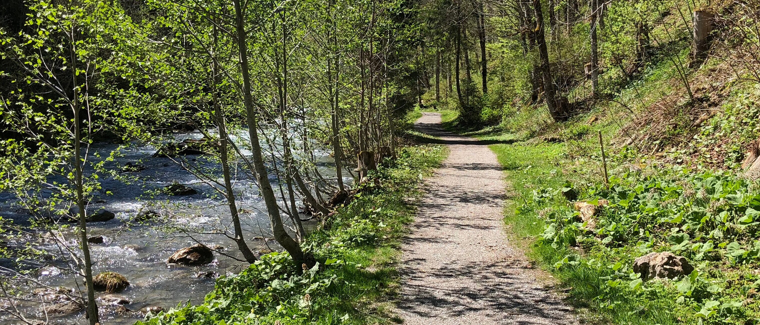 Wanderweg an der Breitach | © Kleinwalsertal Tourismus eGen