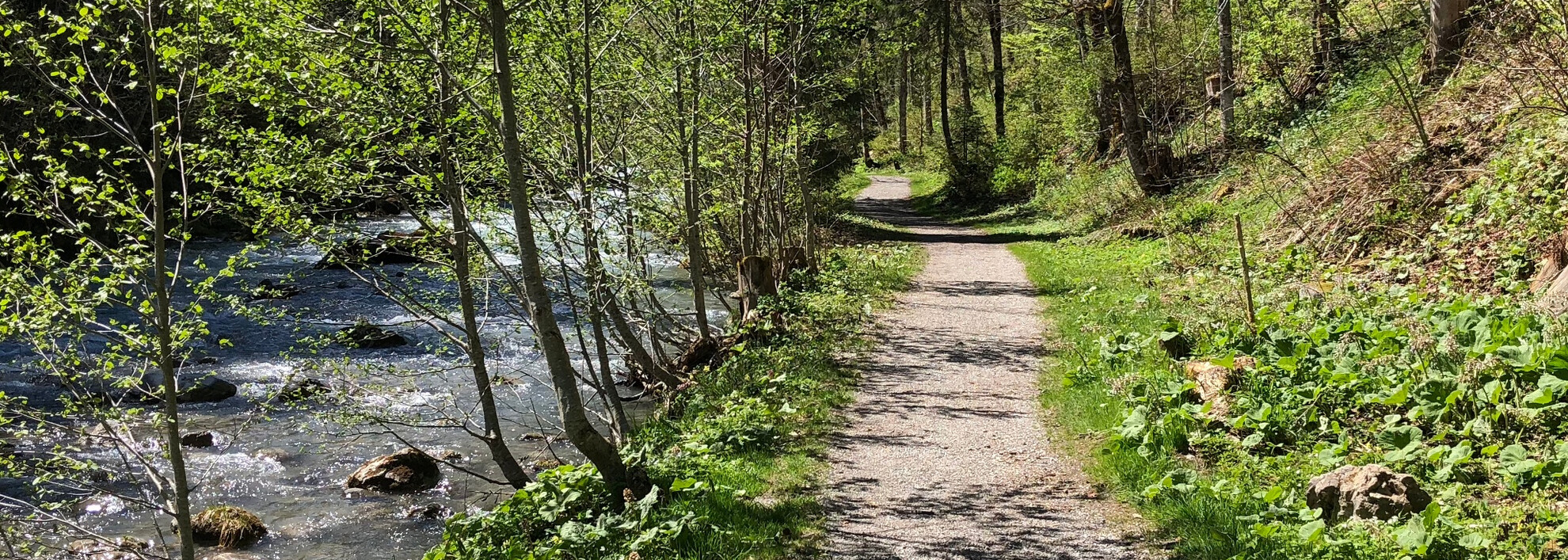 Wanderweg an der Breitach | © Kleinwalsertal Tourismus eGen Wanderweg an der Breitach | © Kleinwalsertal Tourismus eGen