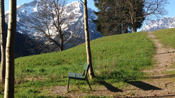 Spazierweg im Kleinwalsertal | © Kleinwalsertal Tourismus eGen