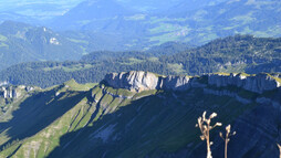 Gottesackerplateau und Ausblick ins Oberallgäu | © Kleinwalsertal Tourismus eGen