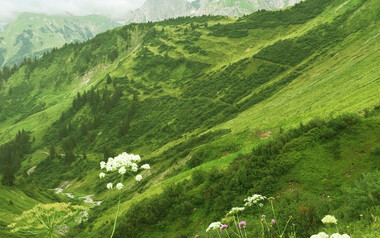Blick zum Großen Widderstein | © Kleinwalsertal Tourismus eGen