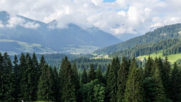 Straussberg Hörnlepass | © Kleinwalsertal Tourismus eGen