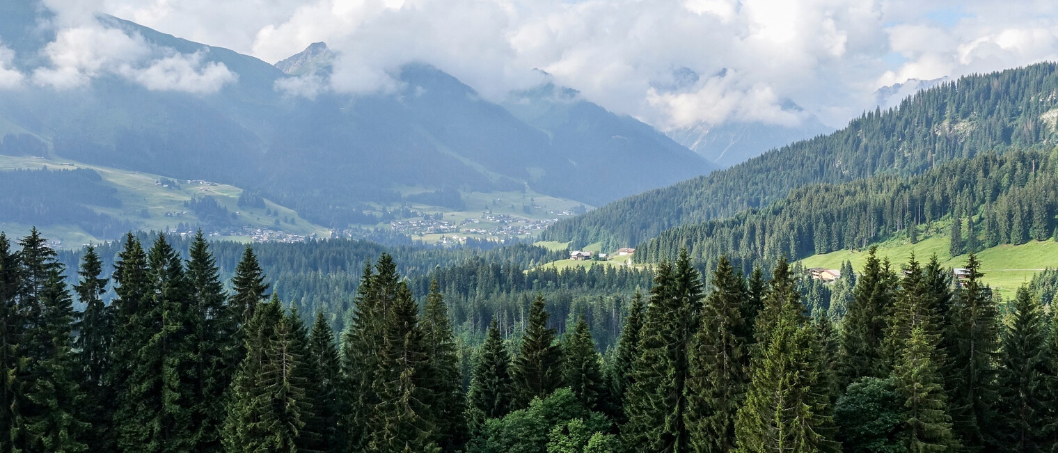 Straussberg Hörnlepass | © Kleinwalsertal Tourismus eGen