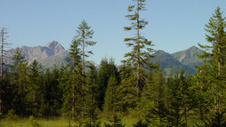Straußberg | © Kleinwalsertal Tourismus eGen