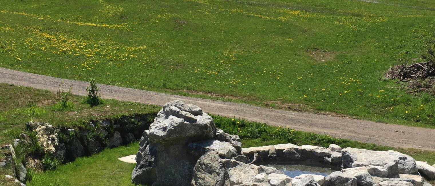 Naturerlebnisplatz Kesselschwand | © Kleinwalsertal Tourismus eGen