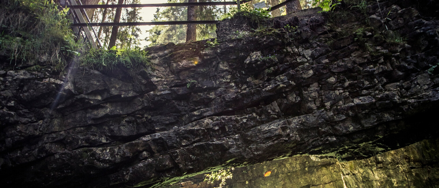 Naturbrücke | © Kleinwalsertal Tourismus eGen