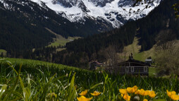 3-Schafalpköpfe | © Kleinwalsertal Tourismus eGen 