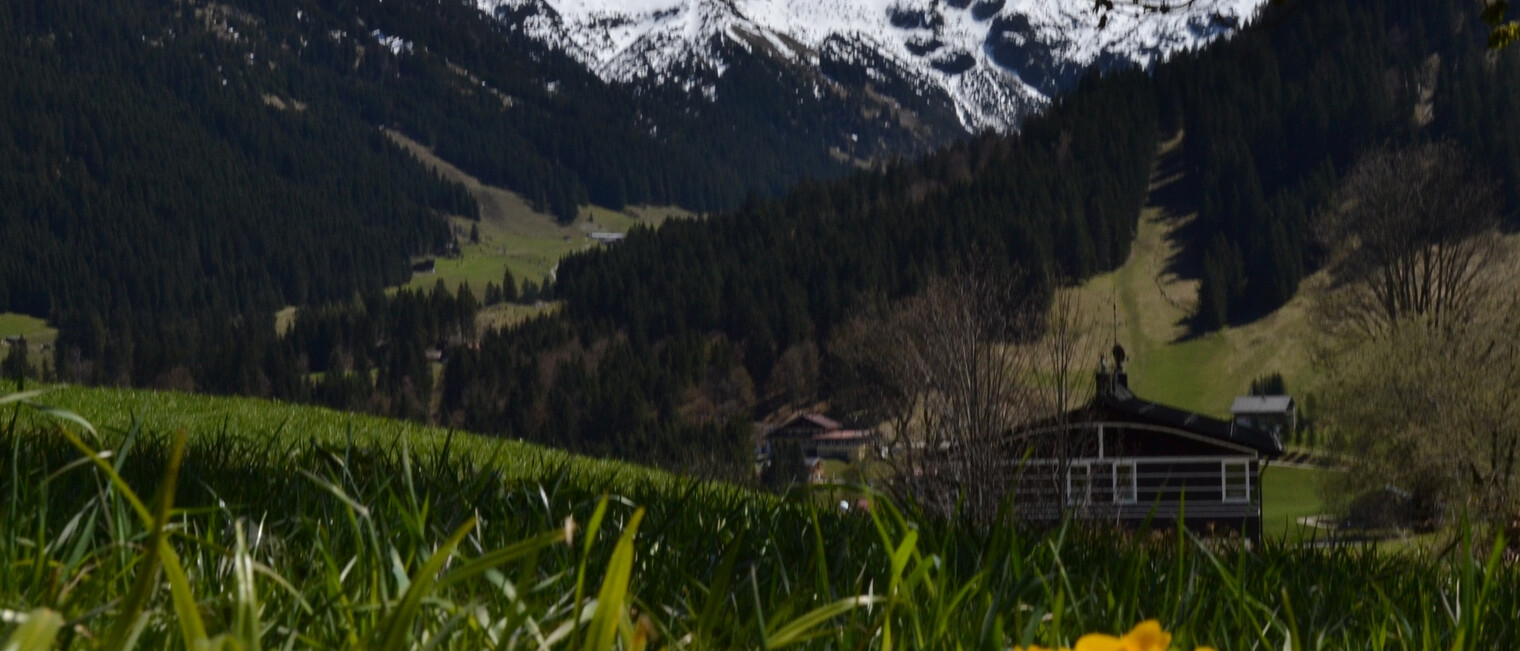 3-Schafalpköpfe | © Kleinwalsertal Tourismus eGen 