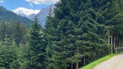 Breitach Runde | © Kleinwalsertal Tourismus eGen