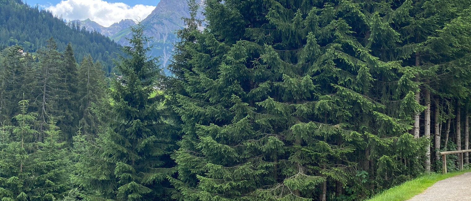 Breitach Runde | © Kleinwalsertal Tourismus eGen