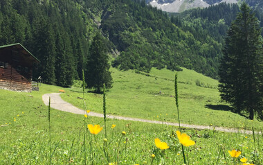 Gemsteltal im Sommer | © Kleinwalsertal Tourismus eGen