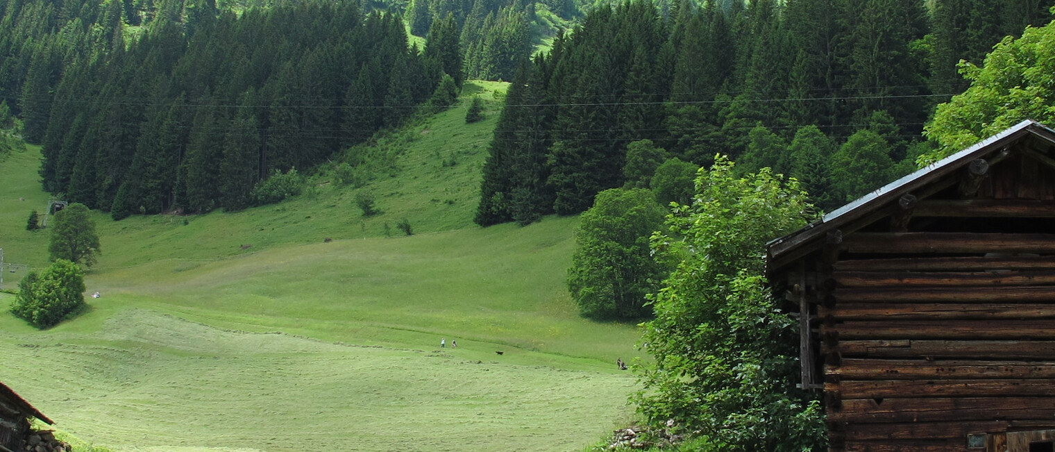 Walserställe | © Kleinwalsertal Tourismus eGen | Fotograf: @Stefan Heim Walserställe | © Kleinwalsertal Tourismus eGen | Fotograf: @Stefan Heim