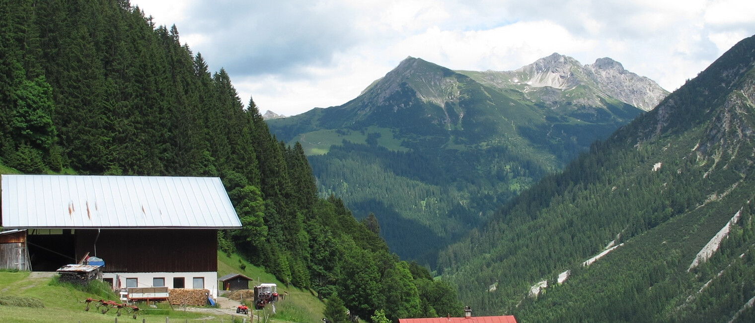 Am Erlenboden | © Kleinwalsertal Tourismus eGen