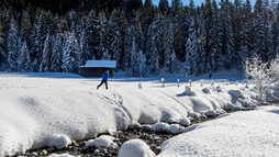Langlauf Steinbockloipe | © Kleinwalsertal