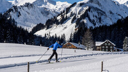 Langlauf Steinbockloipe | © Kleinwalsertal