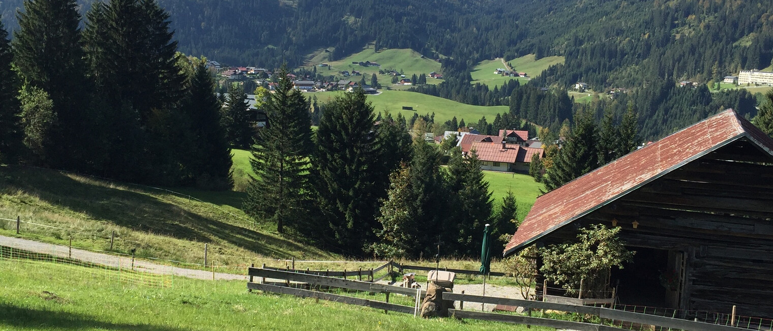 Wanderwege vom Söllereck nach Riezlern | © Kleinwalsertal Tourismus eGen