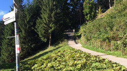 Wanderung im Sommer von Söllereck nach Riezlern | © Kleinwalsertal Tourismus eGen