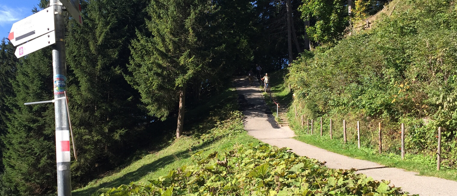 Wanderung im Sommer von Söllereck nach Riezlern | © Kleinwalsertal Tourismus eGen