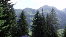 Wandern am Höhenweg | © Kleinwalsertal Tourismus eGen | Fotograf: Antje Pabst Wandern am Höhenweg | © Kleinwalsertal Tourismus eGen | Fotograf: Antje Pabst