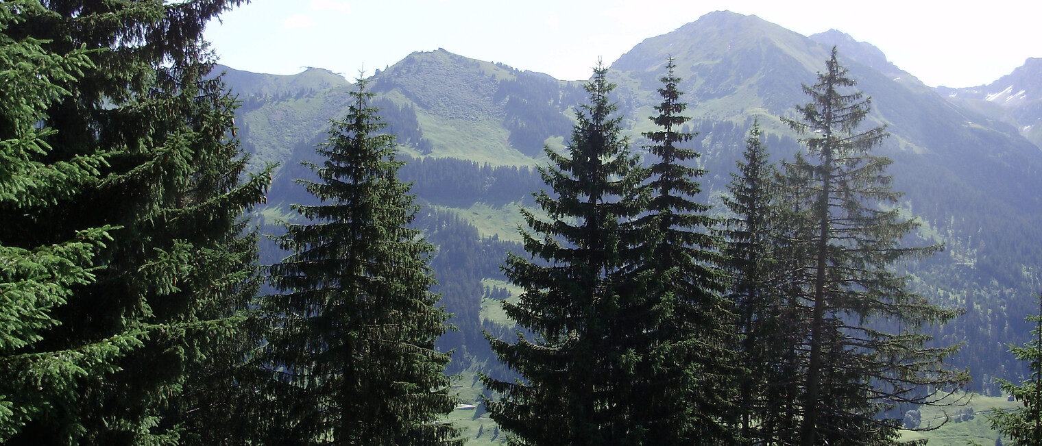 Wandern am Höhenweg | © Kleinwalsertal Tourismus eGen | Fotograf: Antje Pabst Wandern am Höhenweg | © Kleinwalsertal Tourismus eGen | Fotograf: Antje Pabst