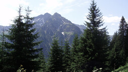 Wandern Höhenweg - Mittelberg | © Kleinwalsertal Tourismus eGen | Fotograf: Antje Pabst Wandern Höhenweg - Mittelberg | © Kleinwalsertal Tourismus eGen | Fotograf: Antje Pabst