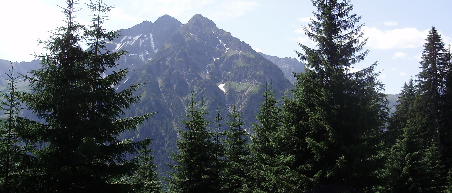 Wandern Höhenweg - Mittelberg | © Kleinwalsertal Tourismus eGen | Fotograf: Antje Pabst Wandern Höhenweg - Mittelberg | © Kleinwalsertal Tourismus eGen | Fotograf: Antje Pabst