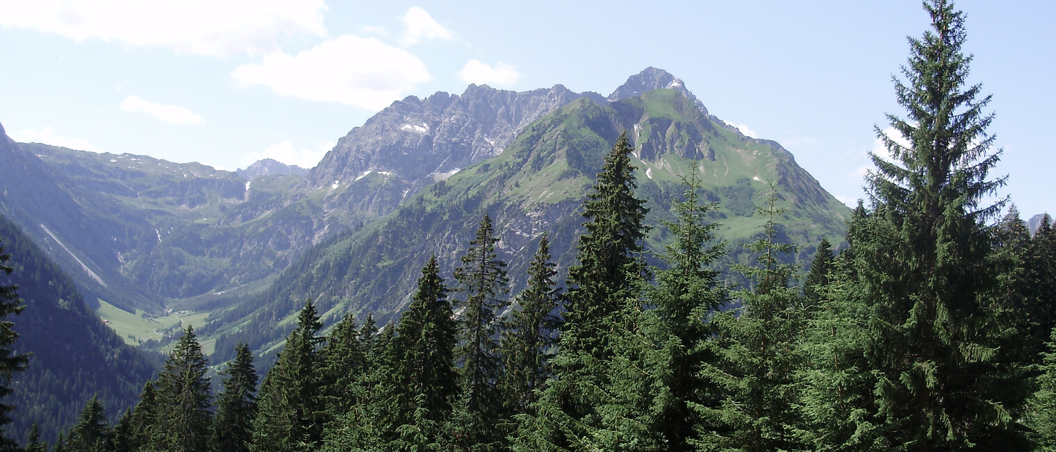 Blick auf den Bärenkopf | © Kleinwalsertal Tourismus eGen | Fotograf: Antje Pabst Blick auf den Bärenkopf | © Kleinwalsertal Tourismus eGen | Fotograf: Antje Pabst