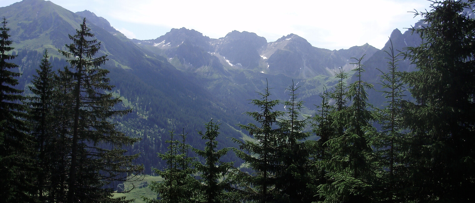 Wandern am Höhenweg | © Kleinwalsertal Tourismus eGen | Fotograf: Antje Pabst Wandern am Höhenweg | © Kleinwalsertal Tourismus eGen | Fotograf: Antje Pabst