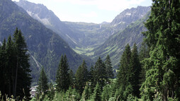 Blick ins Gemsteltal | © Kleinwalsertal Tourismus eGen | Fotograf: Antje Pabst Blick ins Gemsteltal | © Kleinwalsertal Tourismus eGen | Fotograf: Antje Pabst