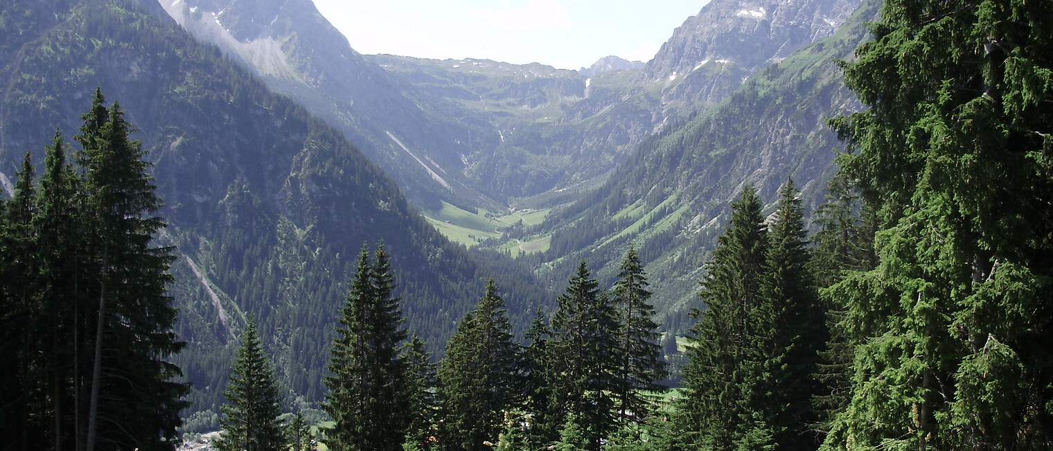 Blick ins Gemsteltal | © Kleinwalsertal Tourismus eGen | Fotograf: Antje Pabst Blick ins Gemsteltal | © Kleinwalsertal Tourismus eGen | Fotograf: Antje Pabst