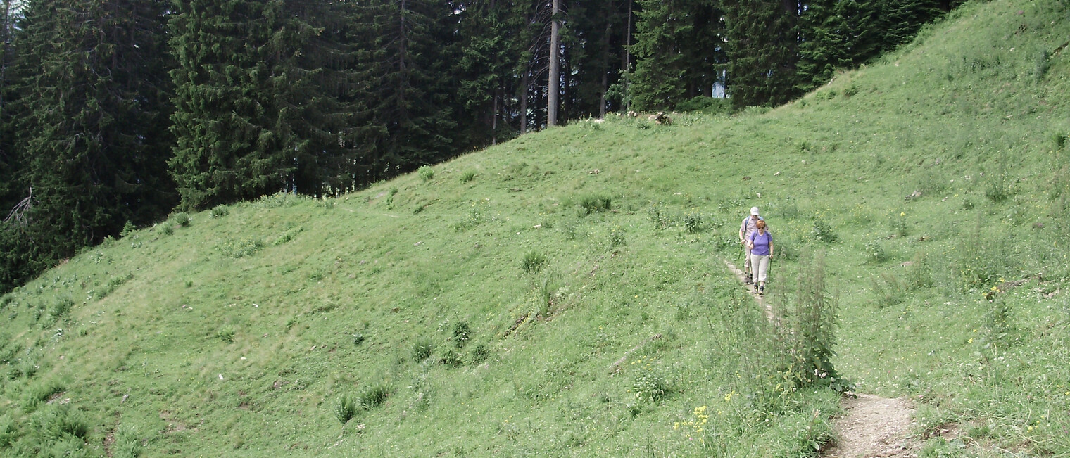 Wandern beim Walmendingerhorn | © Kleinwalsertal Tourismus eGen | Fotograf: Antje Pabst Wandern beim Walmendingerhorn | © Kleinwalsertal Tourismus eGen | Fotograf: Antje Pabst