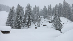 Schneeschuhtour Schwarzwassertal | © Kleinwalsertal Tourismus eGen | Fotograf: Antje Pabst Schneeschuhtour Schwarzwassertal | © Kleinwalsertal Tourismus eGen | Fotograf: Antje Pabst