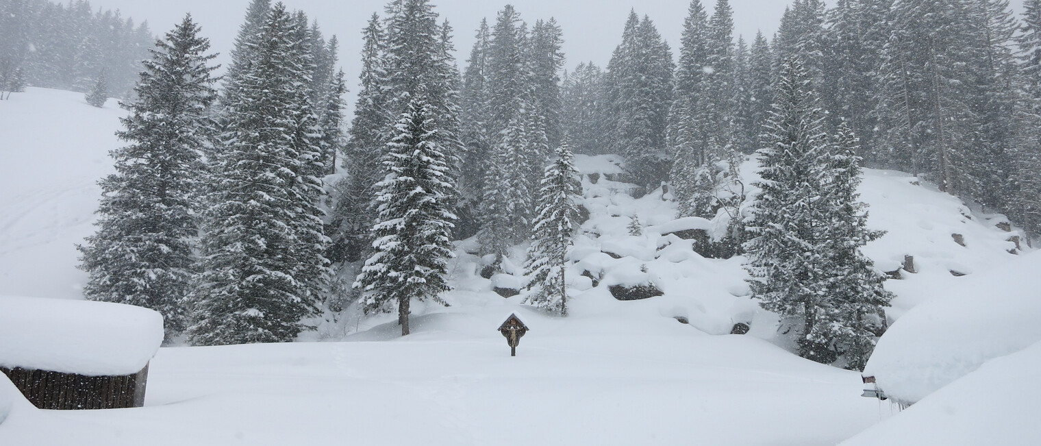 Schneeschuhtour Schwarzwassertal | © Kleinwalsertal Tourismus eGen | Fotograf: Antje Pabst Schneeschuhtour Schwarzwassertal | © Kleinwalsertal Tourismus eGen | Fotograf: Antje Pabst