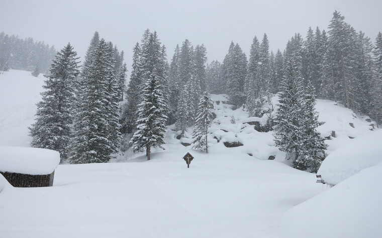 Schneeschuhtour Schwarzwassertal | ©  Kleinwalsertal Tourismus eGen | Fotograf: Antje Pabst