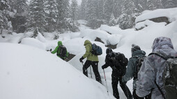 Geführte Schneeschuhtour | © Kleinwalsertal Tourismus eGen | Fotograf: Antje Pabst Geführte Schneeschuhtour | © Kleinwalsertal Tourismus eGen | Fotograf: Antje Pabst