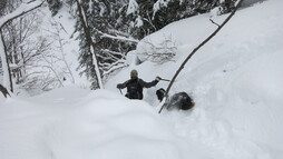 Schneeschuhtour mit Hund | © Kleinwalsertal Tourismus eGen | Fotograf: Antje Pabst Schneeschuhtour mit Hund | © Kleinwalsertal Tourismus eGen | Fotograf: Antje Pabst